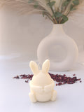 Conejo de pascua con flores