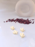 Wax Melt "Encanto botanico"